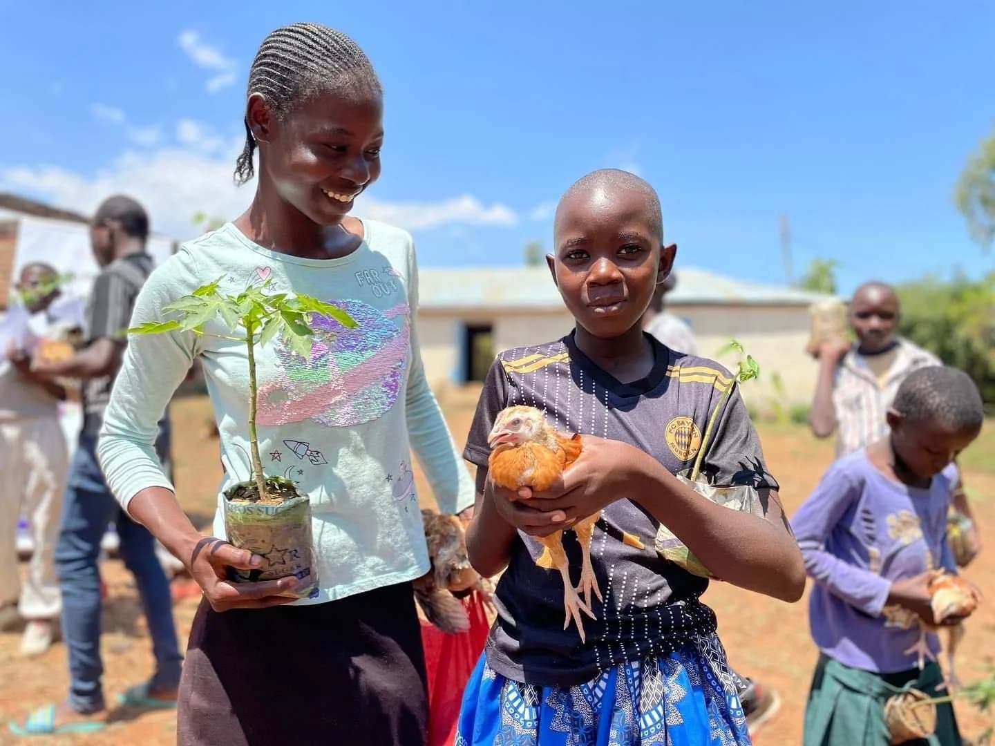 Household livelihoods image used as the thematic image for Voice of Change stakeholders and roles