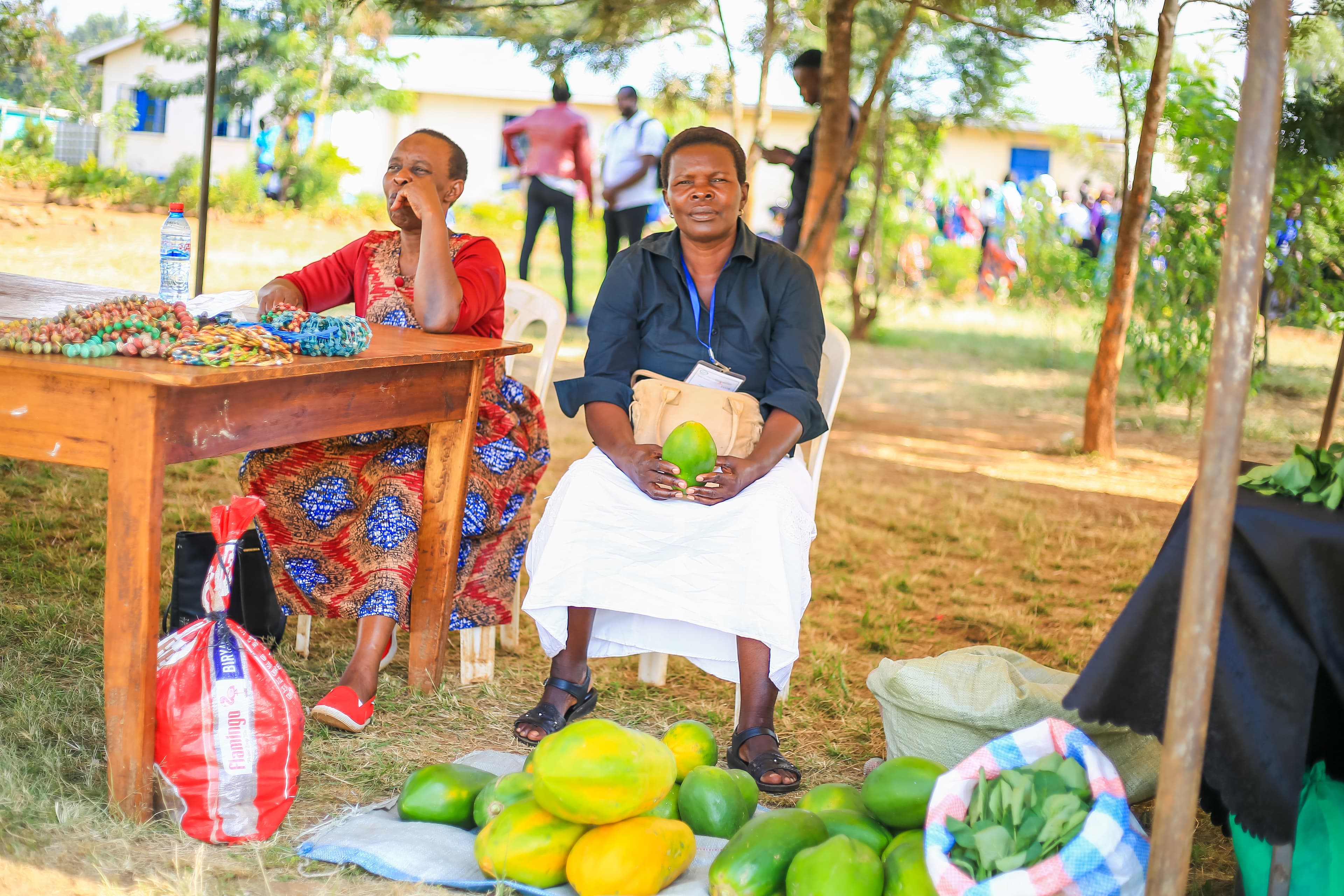 Livelihoods program photo used as the thematic image for the agricultural intervention paper